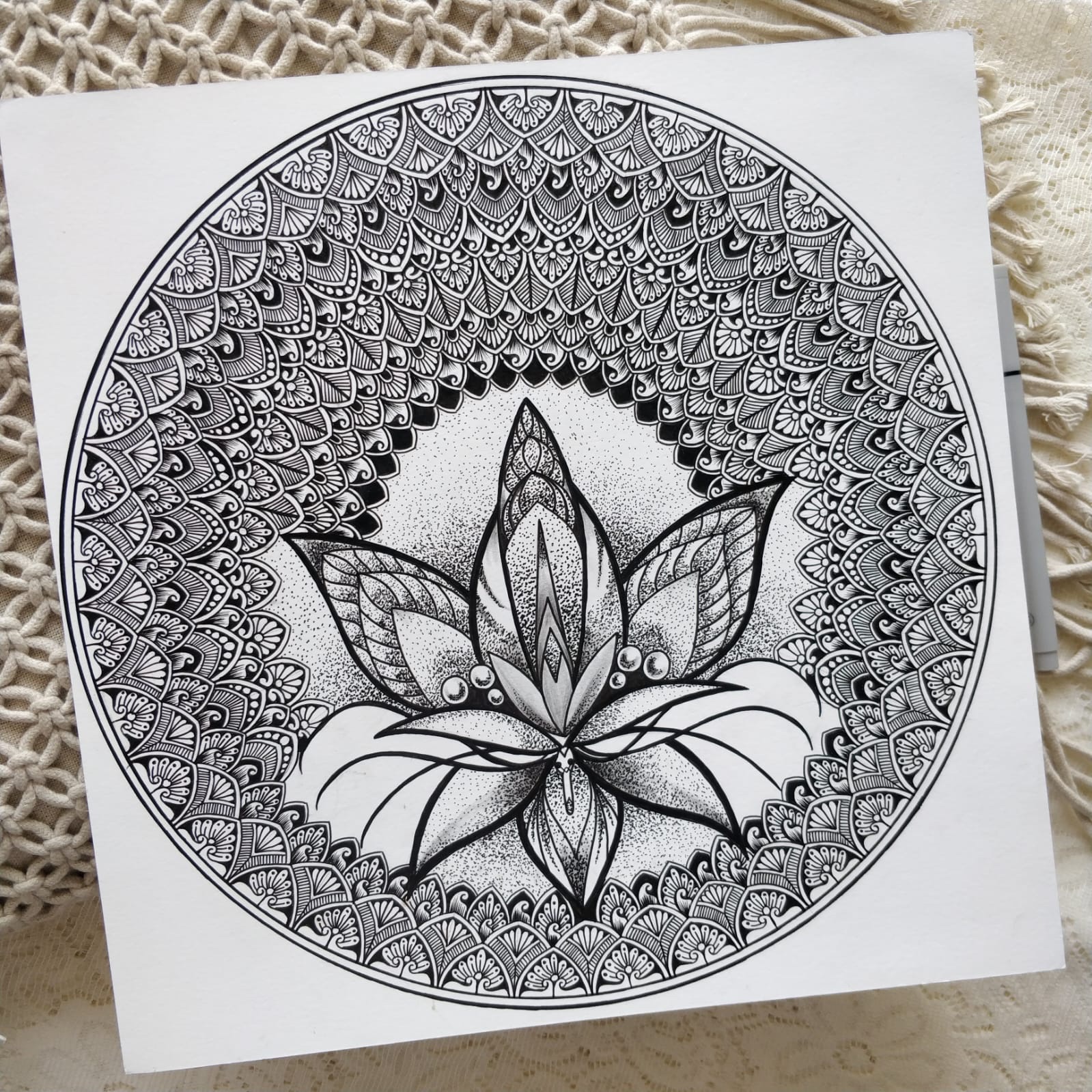 Lotus Bloom